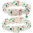 thumbnail image 2 of Collar para perro MR.CHUBBYFACE St. Patrick Clover para perro, 2 of 6