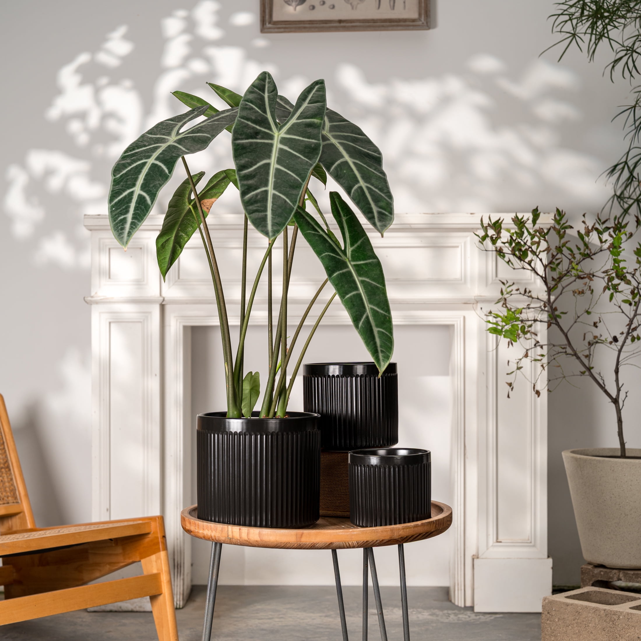 UMIAMOY Modern Cylinder Set of 3 Ceramic Flower Pots,5.7+7.0+8.6 inch Plant Pots with Drainage Holes and Saucer,Indoor Outdoor Planters for Home Patio Garden Decoration