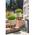 View all media