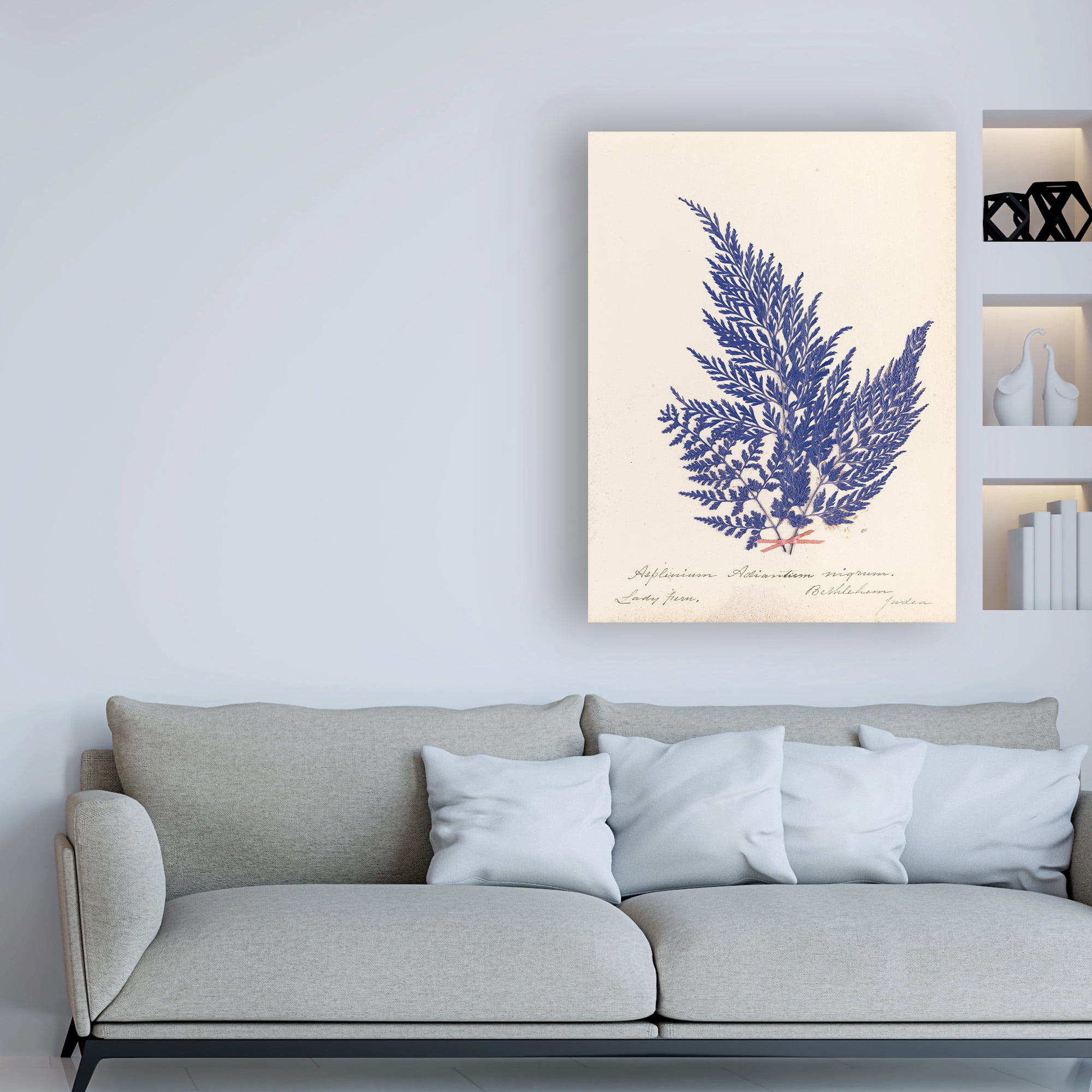 Trademark Fine Art 'Botanical Fern XVIII Blue' Canvas Art by Wild Apple Portfolio