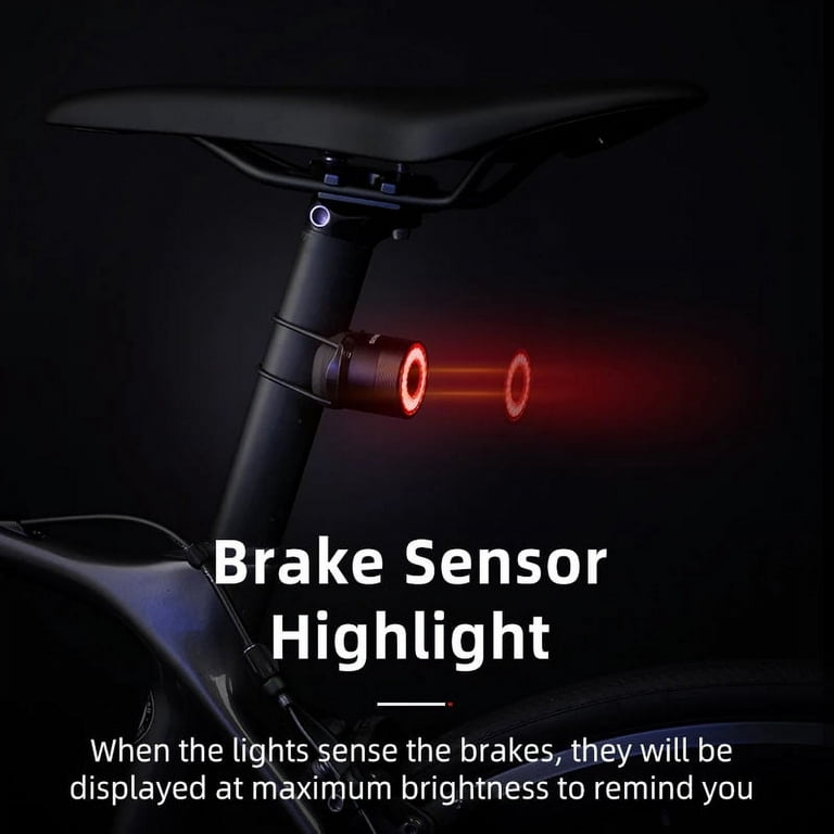 ROCKBROS Bike Tail Light Bike Rear Light Bicycle Smart Brake Sensor Tail Light Waterproof Warning Light MTB Road Bike Night Cycling, Size: One size