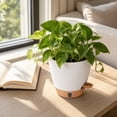 thumbnail image 2 of FEOLGEHLY 2 Pack 5.9 inch Self Watering Pots for Indoor Plants, Planters for Indoor Plants, Flowerpot with Wick & Reservoir, White, 2 of 8