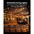 thumbnail image 4 of Luces Colgantes para Exterior VIPAR LED 30 metros con 32 Bombillas Edison, 4 of 9