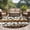 Brown/Beige, variant on Brown Beige Farmhouse Round Area Rug 3 FT, Small Kitchen Bathroom Mats, Black Dog Paw Vintage Wooden Washable Indoor Outdoor Throw Runner Carpet Non-Shedding Doormat for Table Shower Sofa Entryway