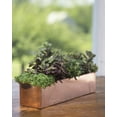 thumbnail image 3 of Tall Rectangular Copper Plant Tray 18in x 5in x 4in, 3 of 3