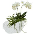 thumbnail image 1 of Nearly Natural 1481 Succulent & Mini Phalaenopsis in Shell Ceramic, 1 of 1
