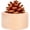 Wood color, variant on Slccxzc Wood Essential Oil Diffuser Small Pine Cone Oil Diffusers for Home Office DecoreAromatherapy Wooden Air Freshener Essential Oil Diffuser for Car Home Office Decore