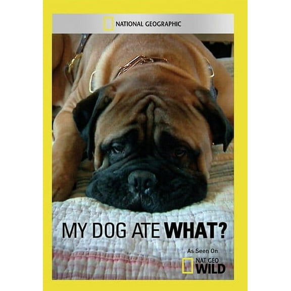 My Dog Ate What? (DVD), National Geographic, Documentary