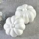 thumbnail image 5 of 20 Piezas de Espuma de Poliestireno Suave para Manualidades de Halloween Gloria, 5 of 9
