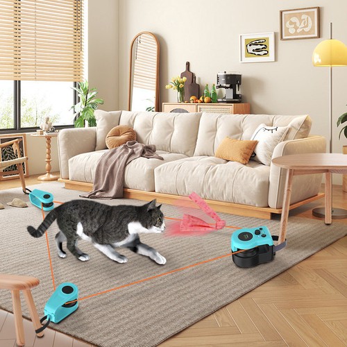 Automatic Cat Exercise Wheel, Remote Control Toy with Timer, ABS Safety Material