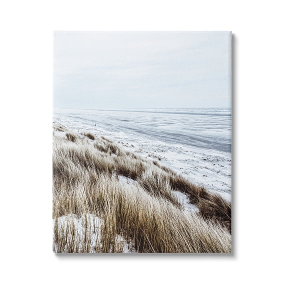 Stupell Industries Beach Reeds Landscape Nature Photography Gallery Wrapped Canvas Print Wall Art, 16 x 20