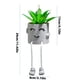 thumbnail image 3 of Plantas suculentas en maceta Plantas suculentas artificiales Plantas en maceta Wmkox8yii fhajkh58, 3 of 3