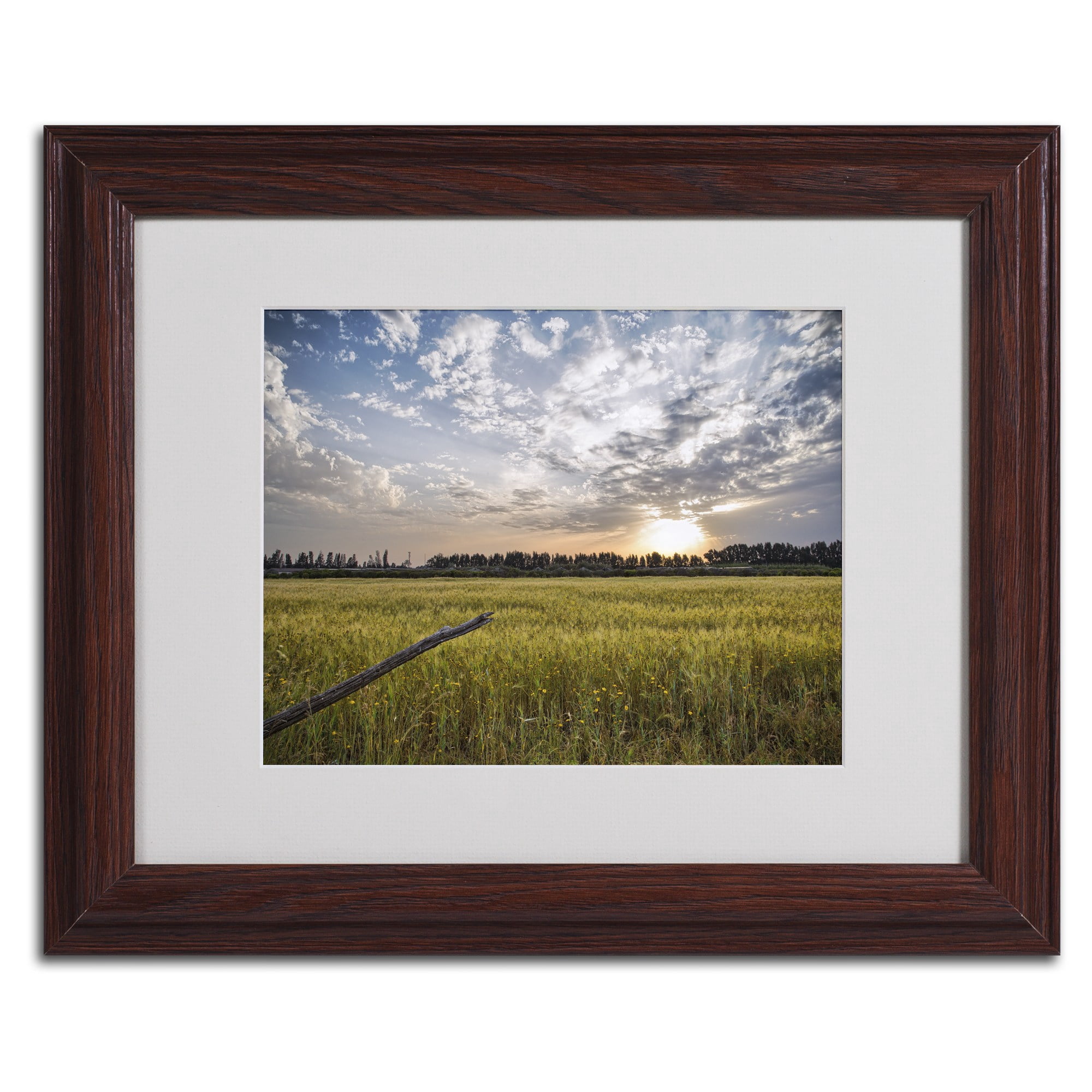 Trademark Fine Art "End of Day" by Giuseppe Torre, Black Frame