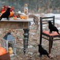 thumbnail image 3 of Cuervos con plumas negras de Halloween, paquete de 6 pájaros de decoración de Halloween con plumas reales Zhivalor  XMWJ090, 3 of 7