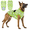 Green, variant on Pet Vest with Adjustable Fit - Lightweight Polyester Dog Vest,Machine Washable,Plaid Pattern, 9 Sizes (XS-5XL)