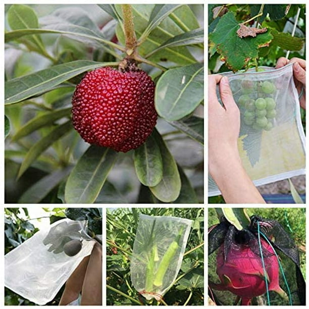 50 PCS Fruit Protection Net Bags with Drawstring - Garden Plants