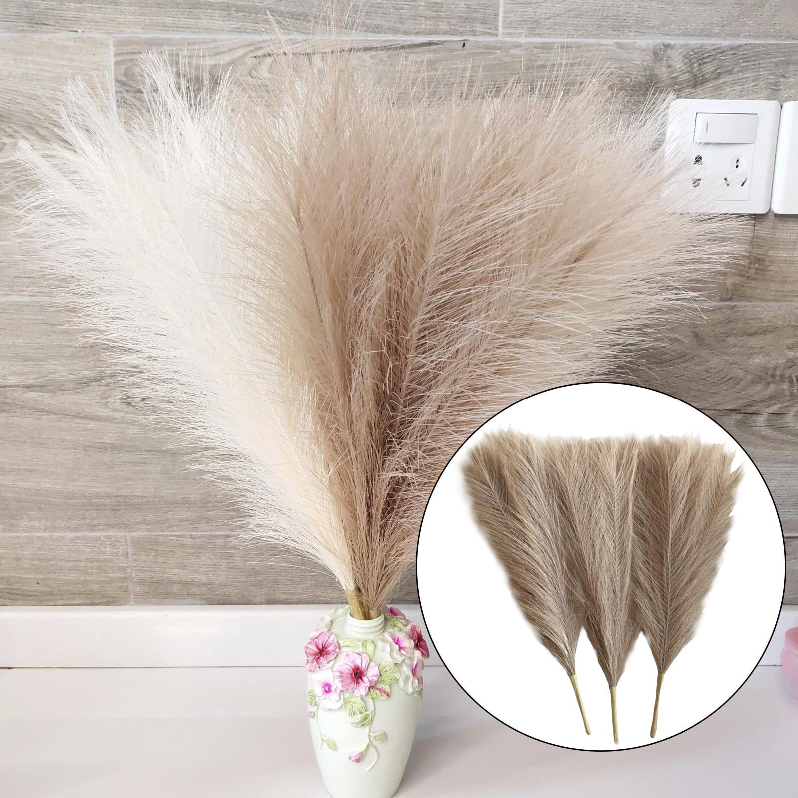 Axioma 9 Pieces Dried Pampas Grass Bohemia Reed Flowers Bunch Home Gift Living Room