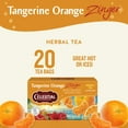 thumbnail image 2 of (6 pack) Celestial Seasonings Tangerine Orange Zinger Herbal Tea Bags (20 Count), 2 of 14