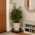 thumbnail image 4 of 11.8 Inch Planter Caddies Rolling Saucer Caddy with Wheels,Heavy Duty Wheeled Stand for Potted ,Round Coaster Roller Base Tray with Casters,Flower Pot Dolly Holder for Indoor Outdoor(Black), 4 of 5