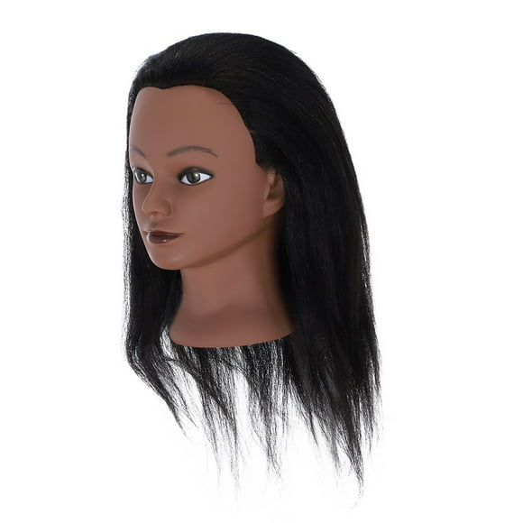 TechWave Mannequin Head 16 Straight Human Lace Front Wigs with Rose Wigs Long Dark Wig Lace Front Dark Wig Short Hair Lace Front Wigs Hair Straight Hair Units Concealer for Women Wigs Baby Hair Middle