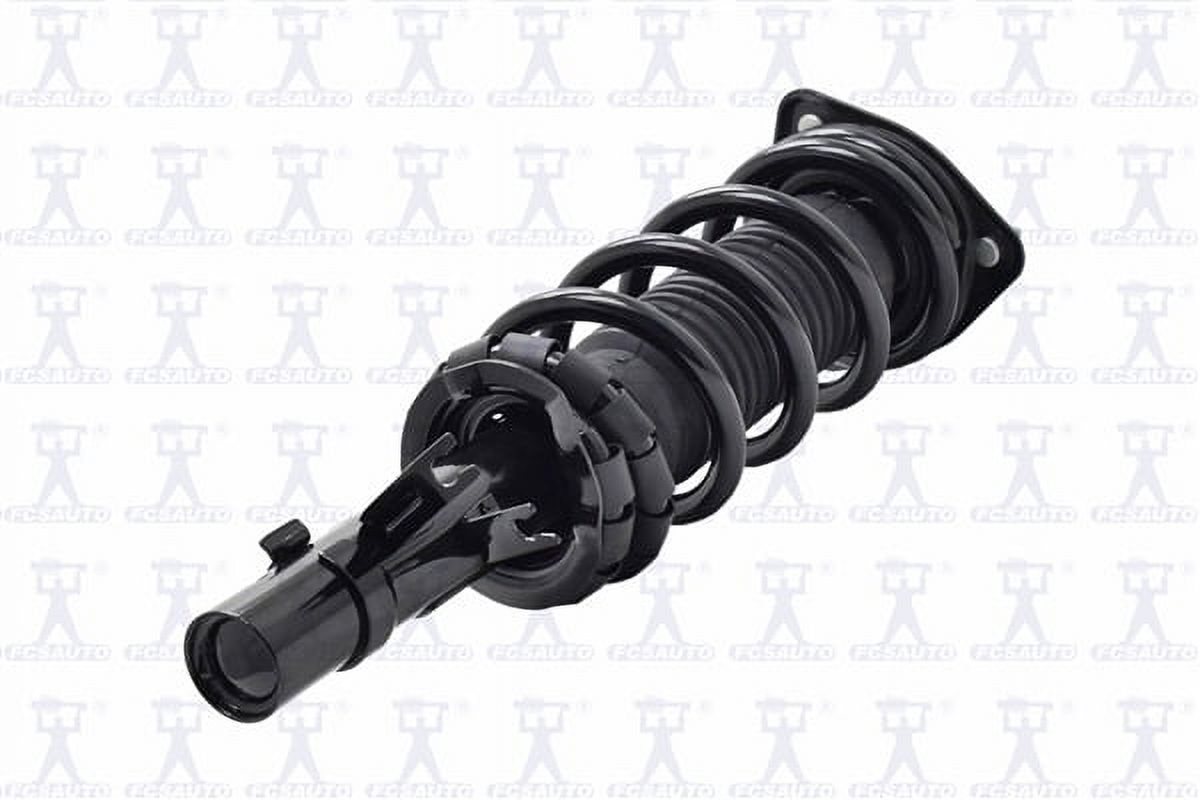 Suspension Strut and Coil Spring Assembly