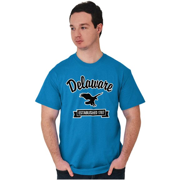 Delaware Cute Bald Eagle Souvenir Men's Graphic T Shirt Tees Brisco Brands S