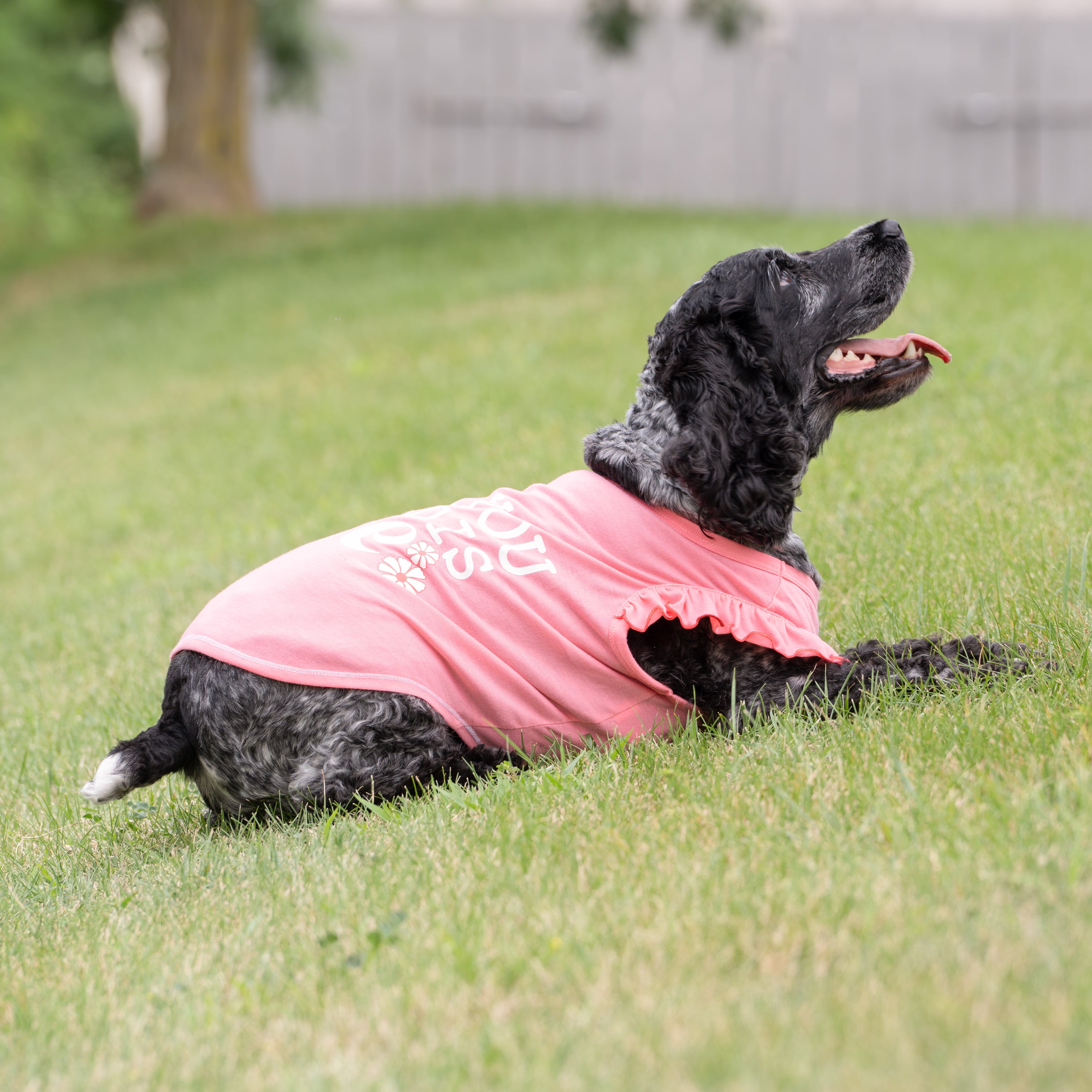 Vibrant Life All You Need Is Love Cat and Dog T-Shirt, Pink, Small