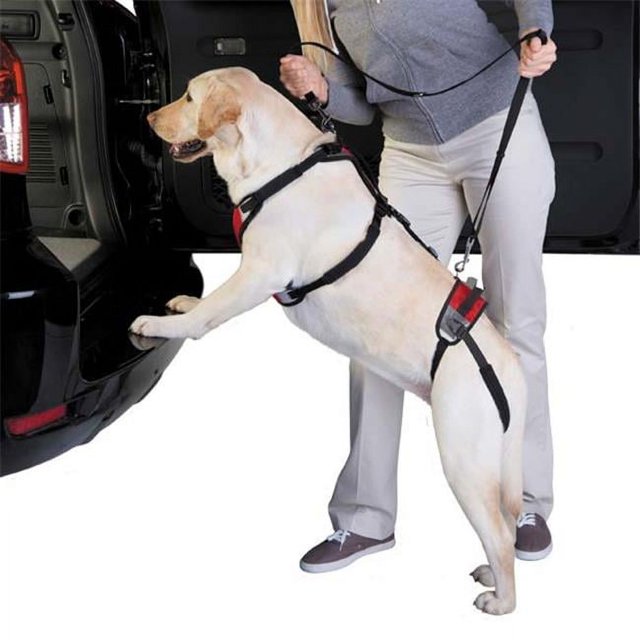 Total Pet Health Lift and Go Dog Lead, Large, Red