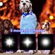 thumbnail image 3 of Collares De Perro Led Que Brillan Intensamente Collar De Mascota Súper Brillante Collar De Perro Recargable E Impermeable Por Usb Con 3 Modos De Iluminación Collar De Luz Nocturna De Seguridad Ajustab Muyoka Hogar, 3 of 7