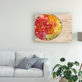 thumbnail image 3 of Trademark Fine Art 'Bowls of Fruit I' Canvas Art by Alicia Ludwig, 3 of 3