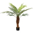 thumbnail image 2 of Northlight 3.9' Unlit Green and Black Potted Artificial Phoenix Palm Tree, 2 of 7