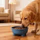 thumbnail image 5 of Pisexur Suministros para mascotas Cuencos de plástico de gran capacidad para perros Cuencos antideslizantes y fáciles de limpiar Cuencos para mascotas Cuencos para comidperros, gatos y animales, 5 of 6