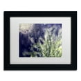 thumbnail image 2 of Trademark Fine Art "Secrets of Nature" Canvas Art by Beata Czyzowska Young, White Matte, Black Frame, 2 of 4