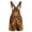 AB15 Brown, variant on Boys Suspender Shorts Kids Comfort Fit High Waist Adjustable Straps Overalls Floral Print Festival Party Casual Shorts Size 6-7 Years Brown