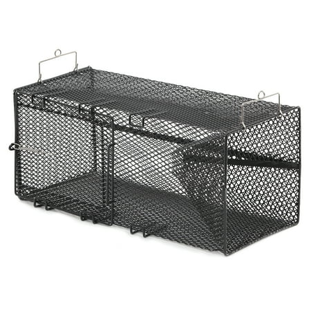 https://i5.walmartimages.com/asr/14ca6dcc-849e-48ed-87f6-8d0ddce6dabe_1.b8c24f58c6f2ebd2d99905062d7768be.jpeg?odnHeight=450&odnWidth=450&odnBg=ffffff