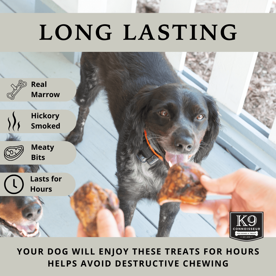 K9 Connoisseur Dog Bones Made in USA for Small and Medium Breed Dogs Natural Long Lasting Meaty Beef Knee Cap Bone Treats Best for Dogs Upto 50 Pounds 1 Pack 10 Count