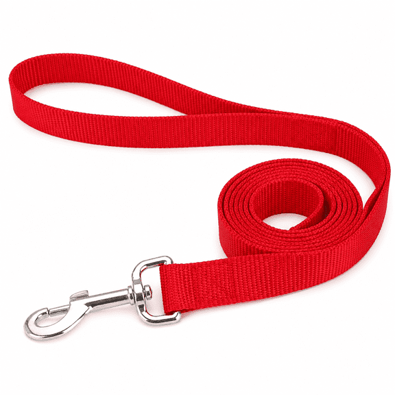 Kawihcie 10 Foot Nylon Dog Leash, Red