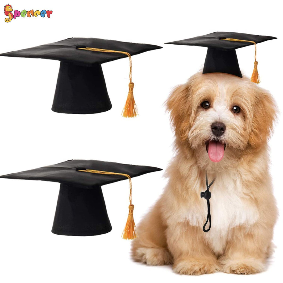 Dog and Cat Graduation Cap
