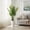 d, variant on Accreate Artificial Palm Tree, Tall Faux Tropical Areca Plants with White Tall Planter, Fake Potted Tree with Lifelike Leaves for Indoor Living Room Bedroom Home Office Decor
