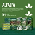 thumbnail image 2 of Standlee Organic Alfalfa Pellets Farm/Pet Animal Food, 40lb, 2 of 5