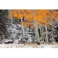 thumbnail image 2 of Jones, Mike 14x11 Gold Ornate Wood Framed with Double Matting Museum Art Print Titled - A Little Bit of Winter, 2 of 4