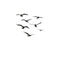 thumbnail image 3 of Adhesivos de pared de PVC con silueta de gaviota y pájaro volador, 3 of 4