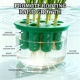 thumbnail image 6 of Hydroponic Scallion Regrowth Planter Box, 9-Hole Soilless Green Onion and Herb Growing Tray for Kitchen Countertop and Windowsill, 6 of 6