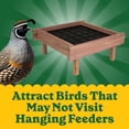 thumbnail image 3 of Pennington Red Cedar Wild Bird Ground Feeder, 12" Square, with Legs, Wild Bird Feeders, 3 of 13