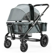 HCY All-Terrain Stroller Wagon, 2 Seats Foldable Expedition 2-in-1 Collapsible Wagon Stroller, Includes Canopy, Parent Organizer, Snack Tray & Cup Holders, 55lbs for Single Seat, Dark Grey/Black