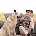 thumbnail image 2 of Pet Graduation Costume Set Blue Felt Cloth 2Set Birthday Party, 2 of 8