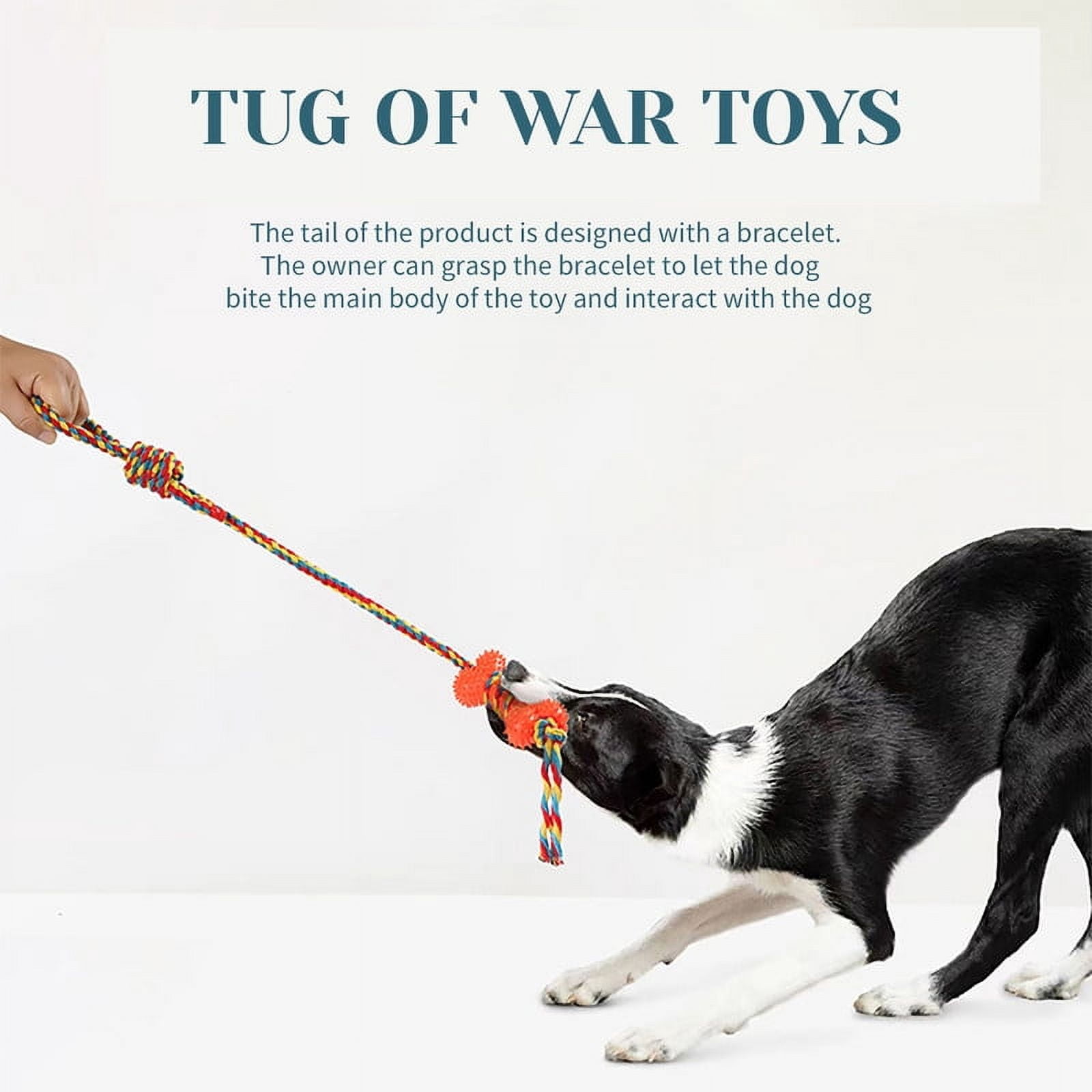 TINGDUANJIAN 2 Pack Interactive Tough Durable Dog Toys for Dogs Teeth Cleaning