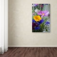 thumbnail image 3 of Trademark Fine Art "Cosmo Duo" Canvas Art by Philippe Sainte-Laudy, 3 of 3