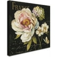 thumbnail image 2 of Trademark Fine Art Lisa Audit Marche de Fleurs on Black Canvas Wall Art - 14x14, 2 of 3