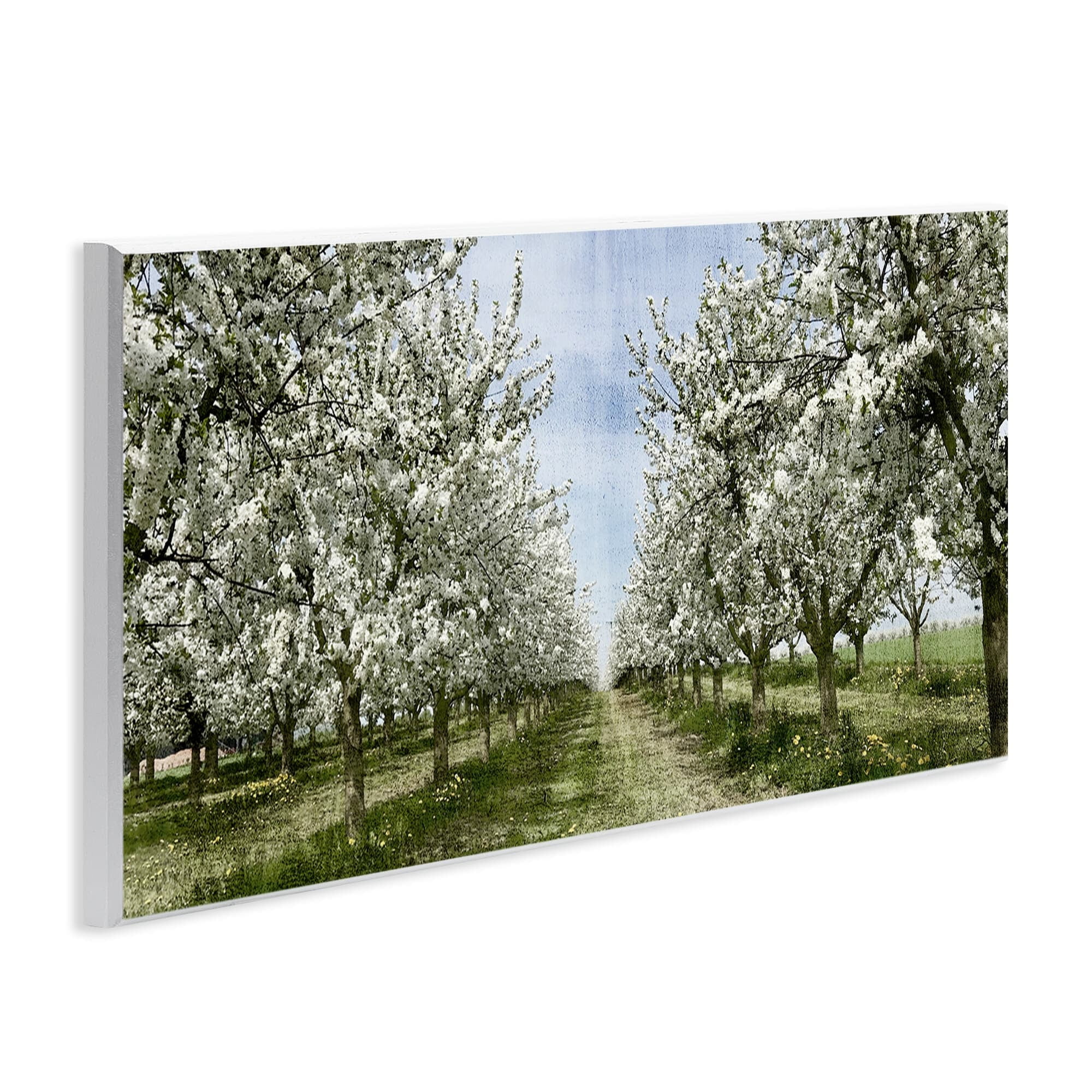 Stupell Industries Blooming White Flower Buds Trees Orchard Meadow Wood Wall Art, 17 x 7, Design by Kim Allen